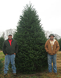 Dan and Bryan Christmas trees was formerly Sundback Trees, where these men learned the art and craft of growing beautiful douglas fir and fraser fir Christmas trees.