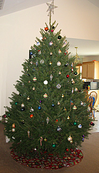Enjoy a fresh and fragrant Christmas tree from Dan and Bryan's Christmas Tree Lots in Washington, D.C., Chevy Chase, Maryland, and Shepherdstown, West Virginia.  We are formerly known as Sundback trees.
