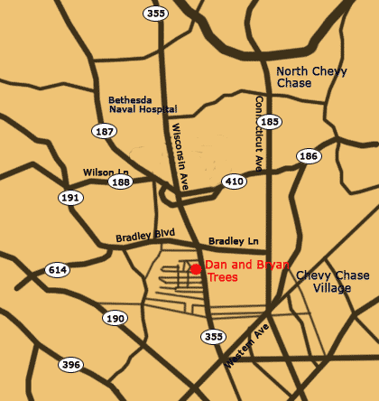 Map to Dan and Bryan's Christmas Trees, formerly Sundback Trees, on Wisconsin and Davidson, Chevy Chase, Maryland.