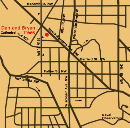 Map to Dan and Bryans Christmas Tree Lot, formerly Sundback's, at 39th and Massachusetts in Washington D.C.
