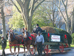 White House Christmas tree for 2009 from Dan and Bryan's Christmas Trees arrives.